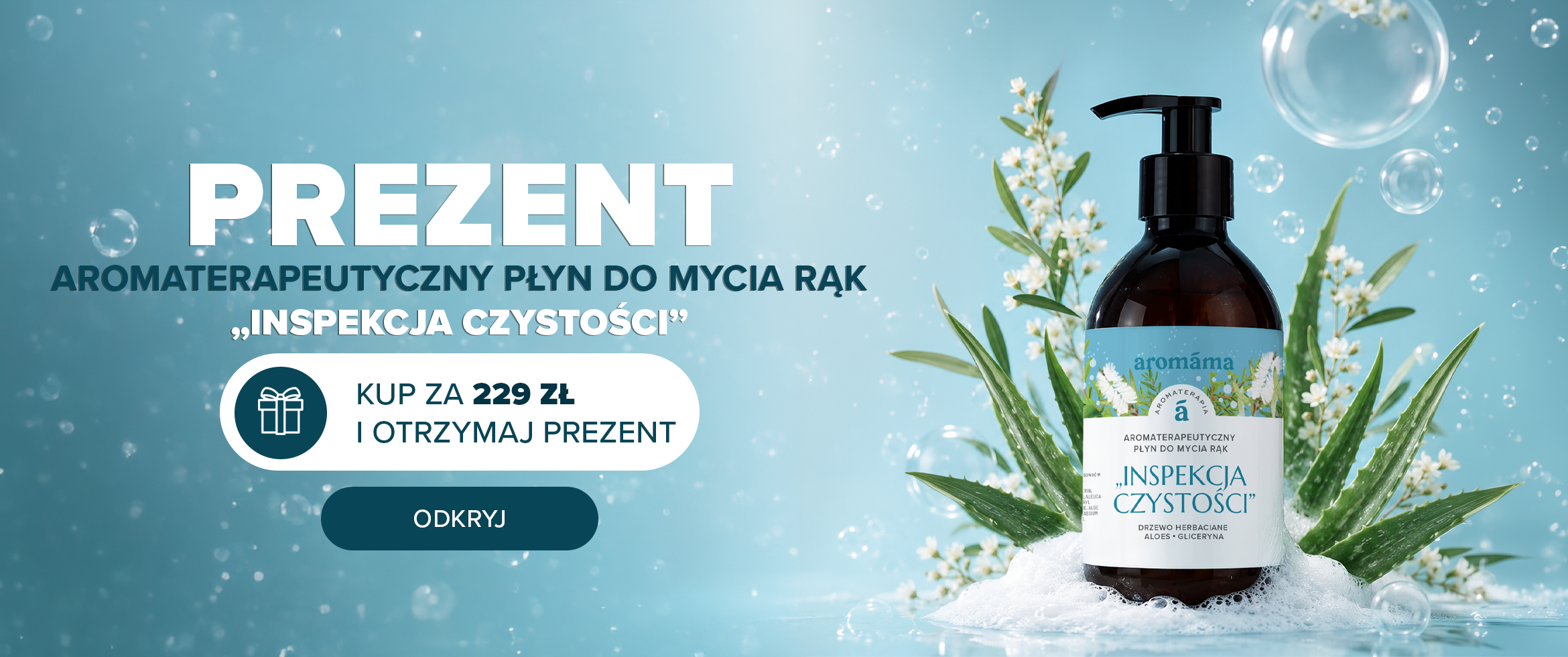 inspekcja czystości